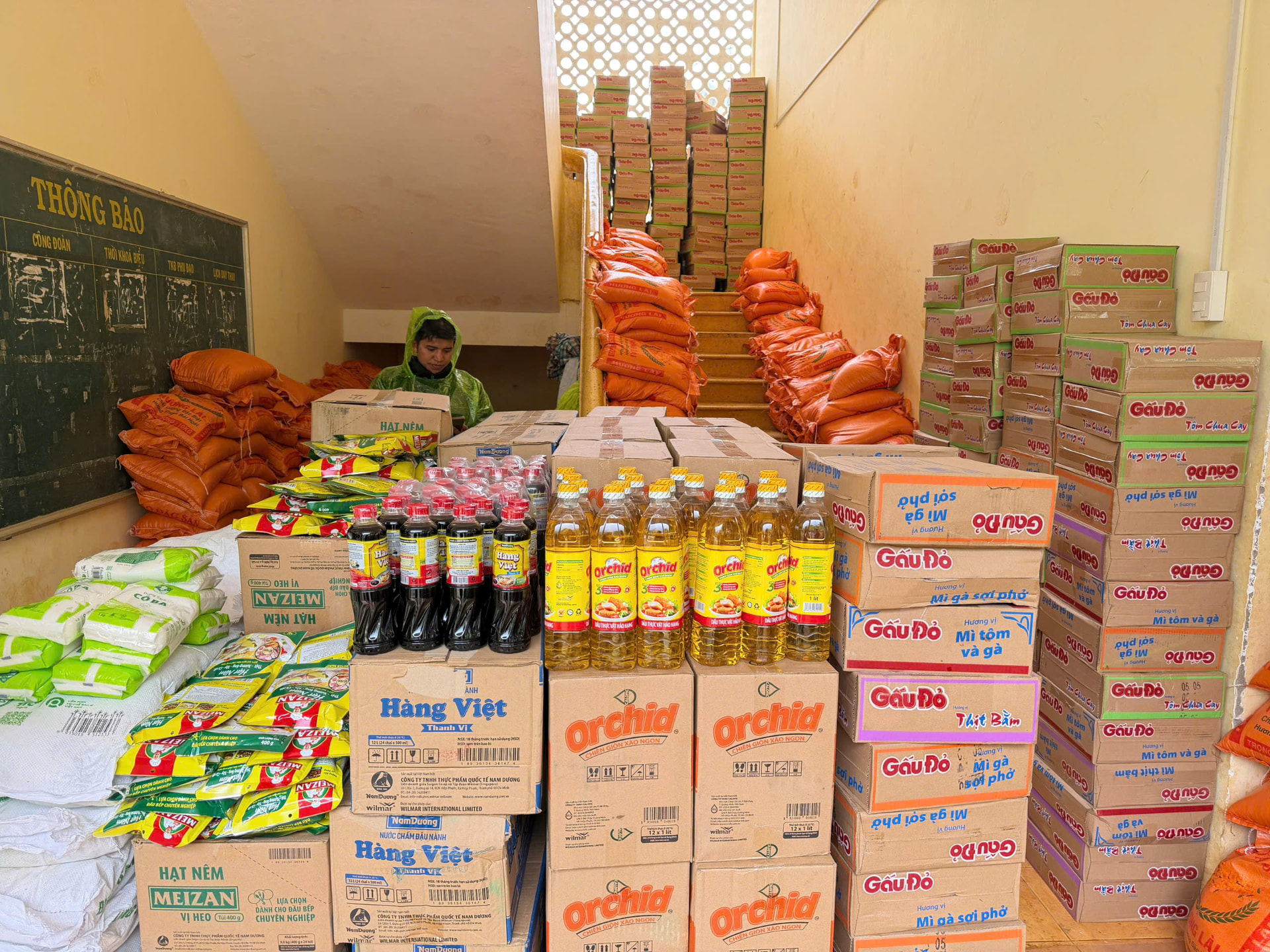 Relief supplies of rice, noodles, cooking oil and seasoning staged at the village school